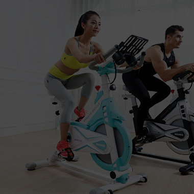 VIBRATION PLATE