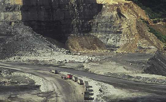 RAW MATERIAL INDUSTRY