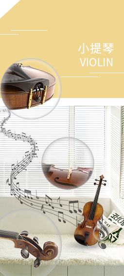 Violin