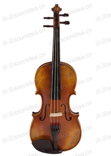 VioinB Class 