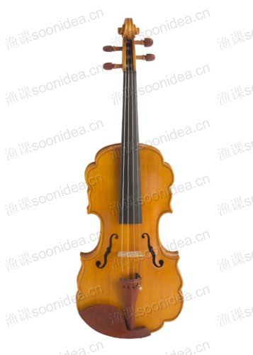 Vioin B Class