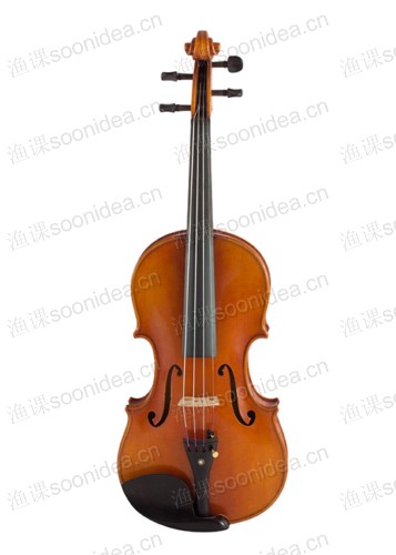Vioin B Class