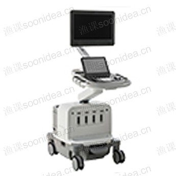 High-end laser therapeutic apparatus