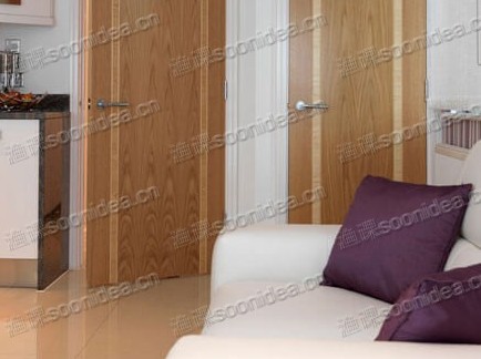 Paint Grade Fire Rated Door
