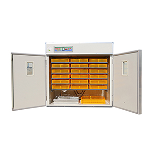 Rapid incubator