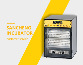 OUR SERVICE